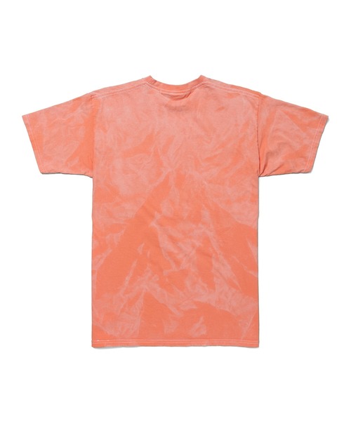 STUDIO SEVEN tシャツ Russell Athletic x STUDIO SEVEN SS Tee 2