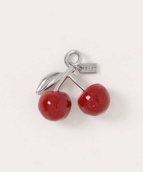 COACH（コーチ） スモール チェリー シューズ チャーム : ZOZOTOWN