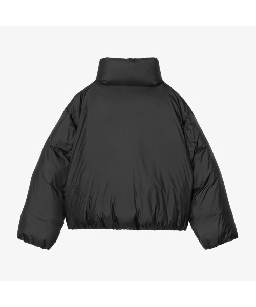 Carhartt WIP（カーハートワークインプログレス） ダウンコート ダウン