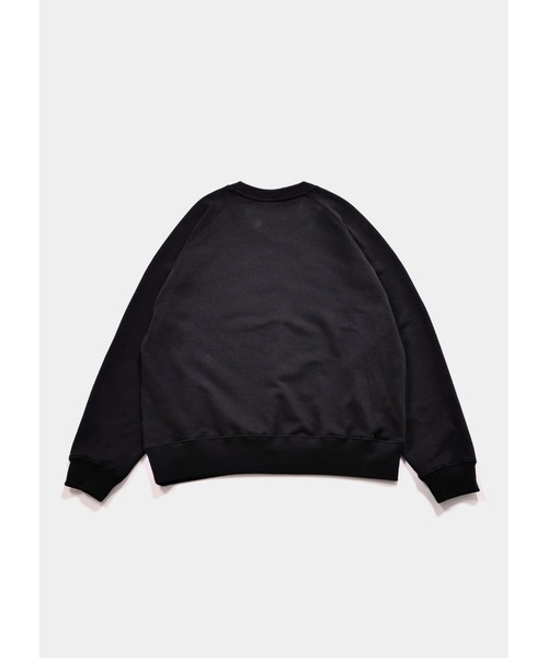 「APPLEBUM」 スウェットカットソー LARGE グレー メンズ_画像8