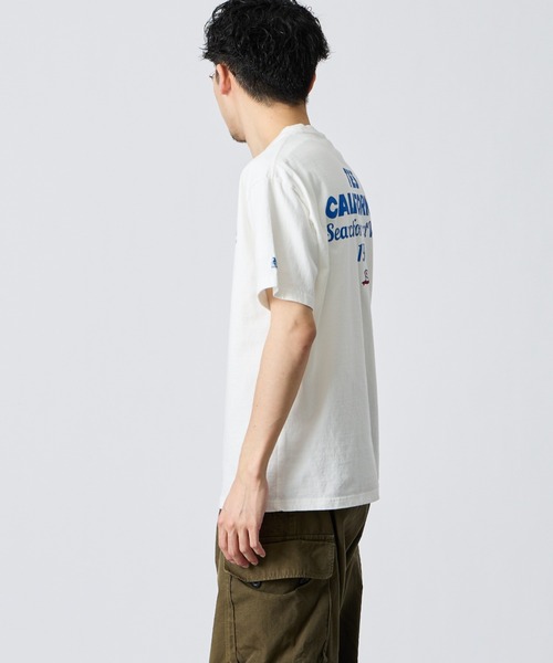 The Endless Summer（エンドレスサマー） tシャツ 半袖 別注 バック