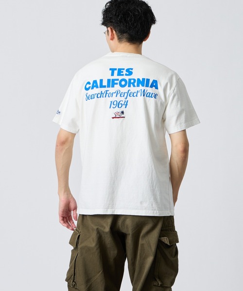 The Endless Summer（エンドレスサマー） tシャツ 半袖 別注 バック