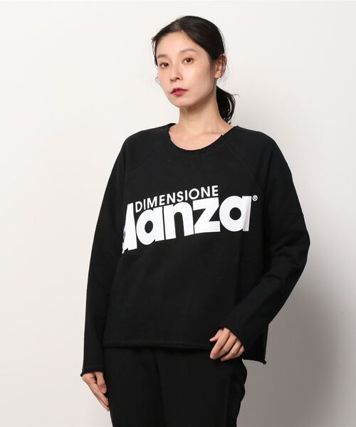 tシャツ ビッグロゴ 長袖Tシャツ レディース