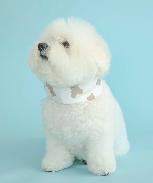 gelato pique 犬 服 「CAT＆DOG」「販路限定商品」COOLネック