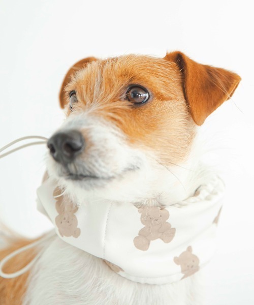 犬服セット EDWIN GELATO PIQUE 犬服セット EDWIN GELATO PIQUE