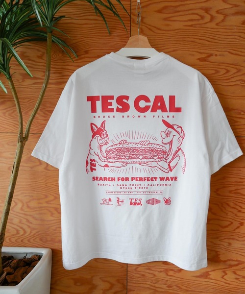 The Endless Summer tシャツ 「WEB / FLAG SHOP限定」TES CAL