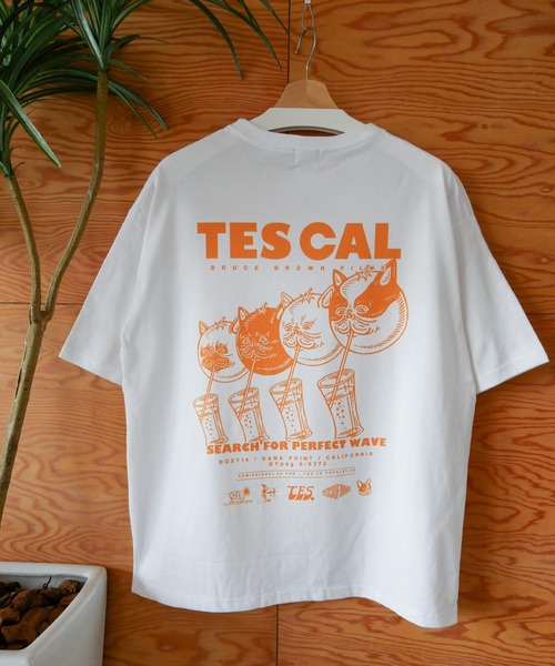 The Endless Summer tシャツ 「WEB / FLAG SHOP限定」TES CAL