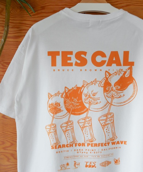 The Endless Summer（エンドレスサマー） tシャツ 「WEB / FLAG SHOP