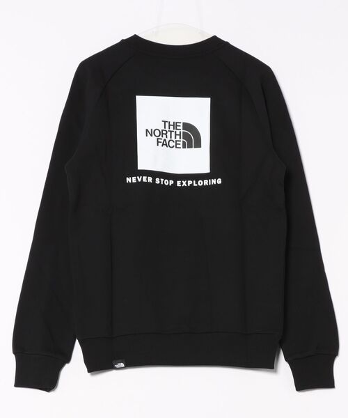 「THE NORTH FACE」 スウェットカットソー X-LARGE ブラウン メンズの画像