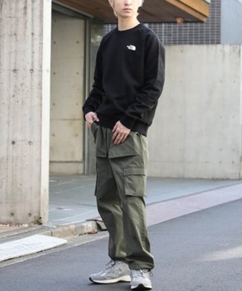 「THE NORTH FACE」 スウェットカットソー X-LARGE ブラウン メンズの画像