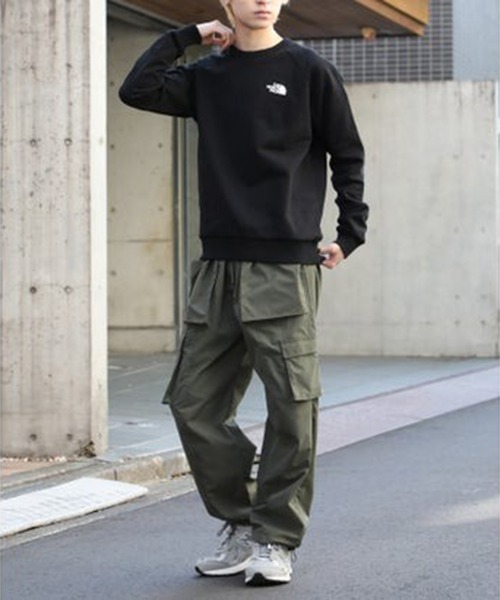 「THE NORTH FACE」 スウェットカットソー X-LARGE ブラウン メンズの画像