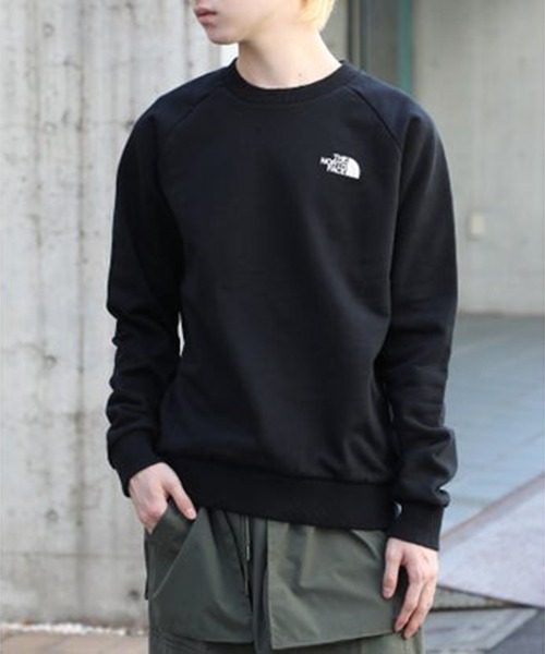 「THE NORTH FACE」 スウェットカットソー X-LARGE ブラウン メンズの画像