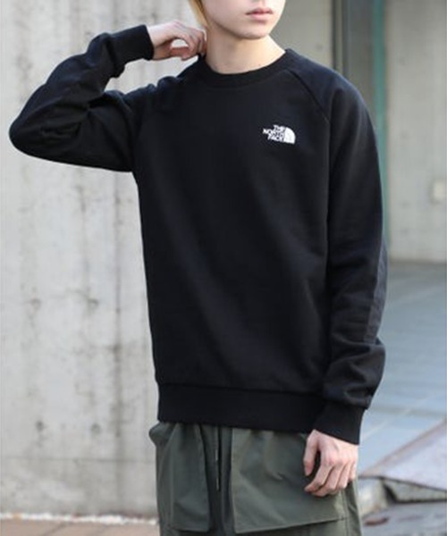 「THE NORTH FACE」 スウェットカットソー X-LARGE ブラウン メンズの画像
