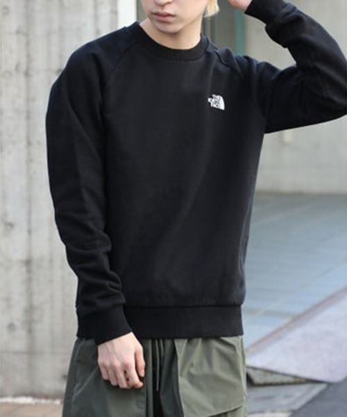 「THE NORTH FACE」 スウェットカットソー X-LARGE ブラウン メンズの画像