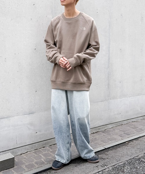 「THE NORTH FACE」 スウェットカットソー X-LARGE ブラウン メンズの画像