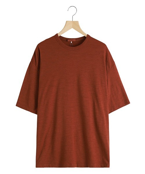 icebreaker（アイスブレーカー） tシャツ icebreaker / アイス