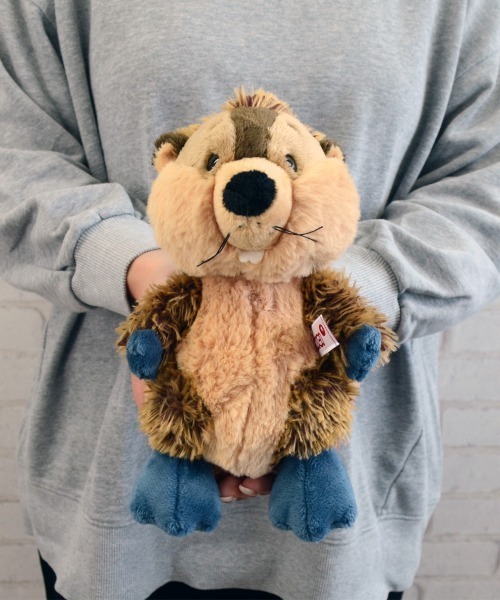 nici（ニキ） おもちゃ NICI/FF25 ビーバー ハリー ぬいぐるみ 20cm