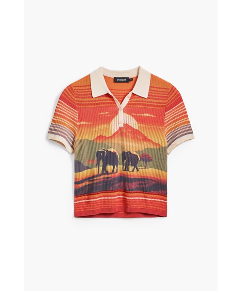 tシャツ 象柄のTシャツ レディース