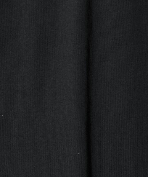 tシャツ 「THE NORTH FACE」ロングスリーブ フラッシュドライ ヌプシ コットン ティー メンズ | THE NORTH FACE | 13