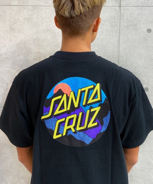 「SANTA CRUZ」 半袖Tシャツ X-LARGE グリーン メンズ_画像9