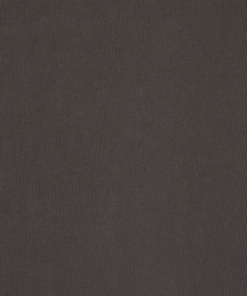 Champion（チャンピオン） tシャツ × monkey time」ピグメント コード