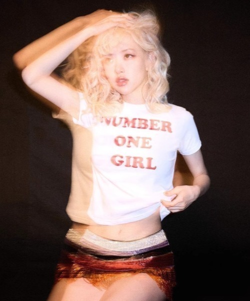 tシャツ Y2K ロゴ ショート丈ミニT / クロップド チビT レディース 