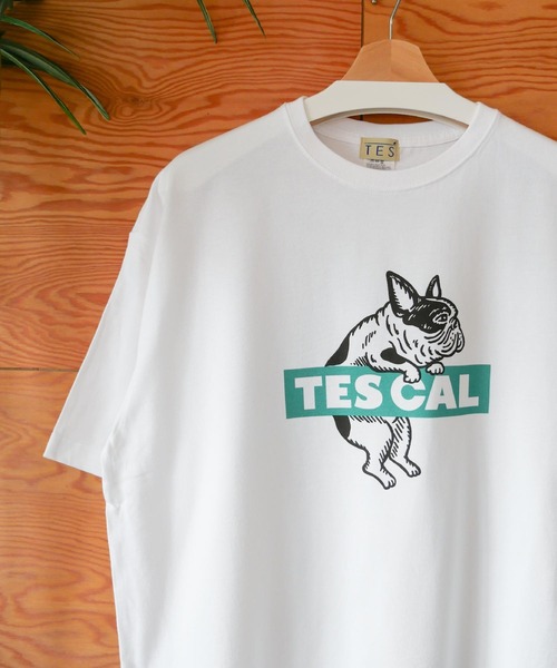 「The Endless Summer」 半袖Tシャツ MEDIUM ブルー メンズ