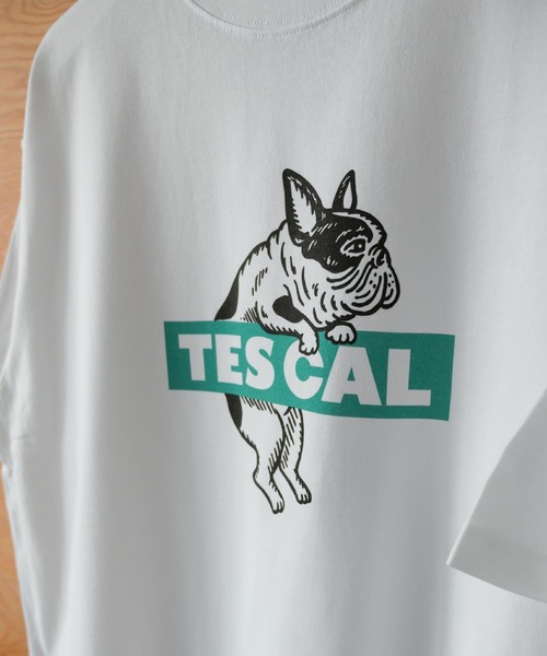 「The Endless Summer」 半袖Tシャツ MEDIUM ブルー メンズ