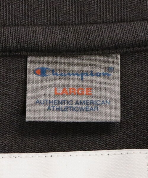 tシャツ 「Champion × monkey time」ピグメント スキッパー ポロシャツ メンズの画像