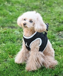 CAPTAIN STAG（キャプテンスタッグ） 犬 ハーネス リード CAPTAIN STAG