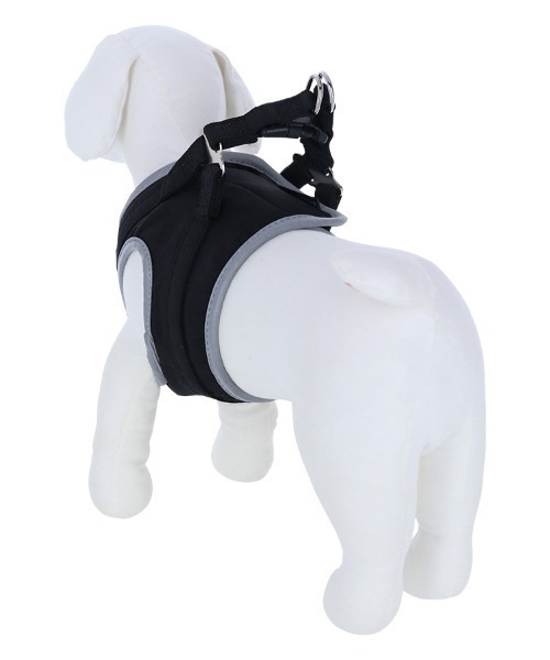 リーリエのピッピ　SAR 千葉犬 Peaky P-key】D4DJ D4 FES. XROSS∞BEAT開催記念ラッフルくじ