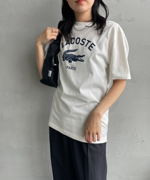 LACOSTE - ラコステ　LACOSTE　Ｔシャツ　レディース LACOSTE tシャツ 「LACOSTE/ラコステ」 ワンポイントロゴ クルー
