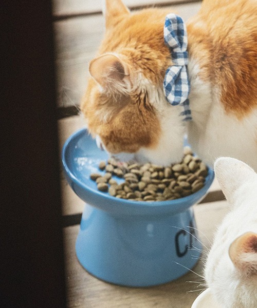 studio CLIP（スタディオクリップ） 食器 猫に優しいお皿「CAT BY CLIP