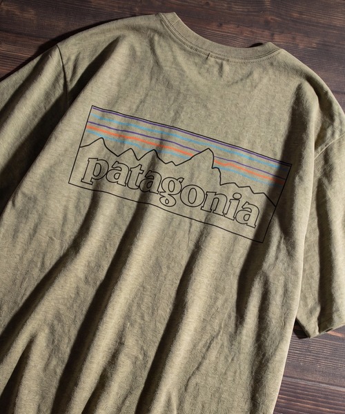 patagonia（パタゴニア） tシャツ 「Patagonia/パタゴニア」P-6 Logo