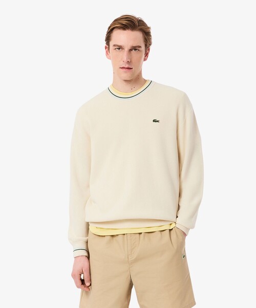 LACOSTE セーター ニット リブニットステッチコットンニットセーター