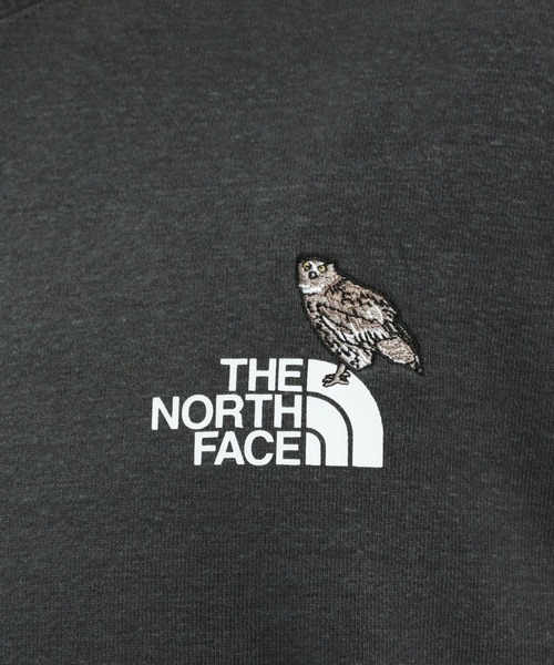 「THE NORTH FACE」 スウェットカットソー LARGE ブラック メンズの画像