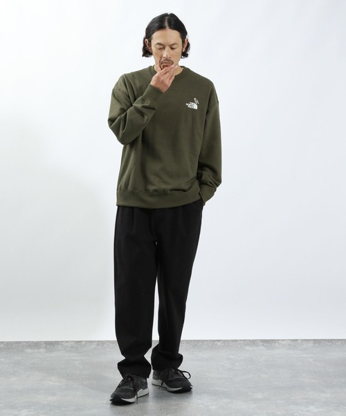 「THE NORTH FACE」 スウェットカットソー LARGE ブラック メンズの画像