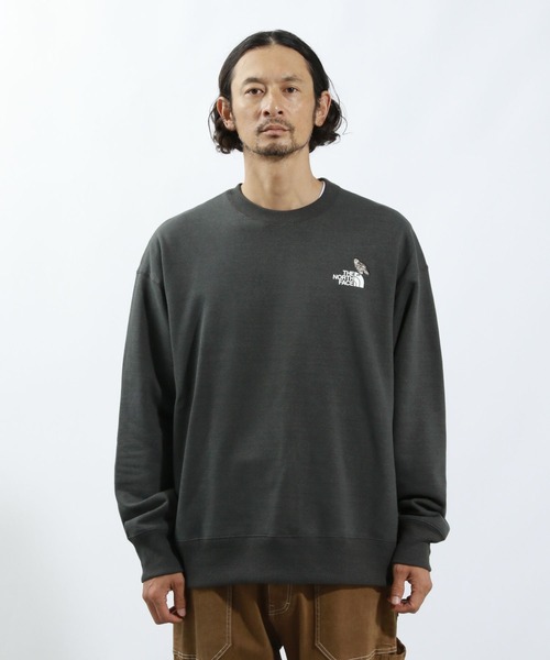 「THE NORTH FACE」 スウェットカットソー LARGE ブラック メンズの画像