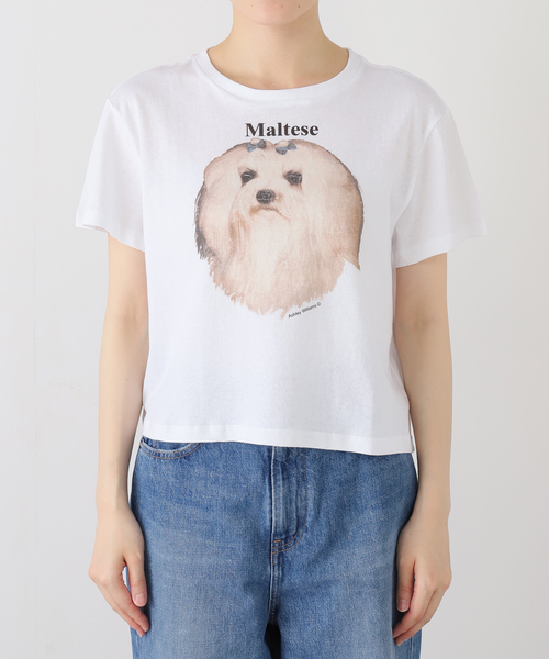 tシャツ 半袖 「Ashley Williams / アシュリー・ウィリアムズ」 WHITE