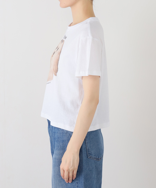 tシャツ 半袖 「Ashley Williams / アシュリー・ウィリアムズ」 WHITE 