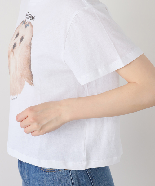tシャツ 「Ashley Williams / アシュリー・ウィリアムズ」 WHITE