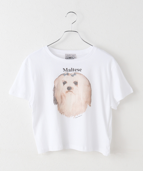 tシャツ 半袖 「Ashley Williams / アシュリー・ウィリアムズ」 WHITE