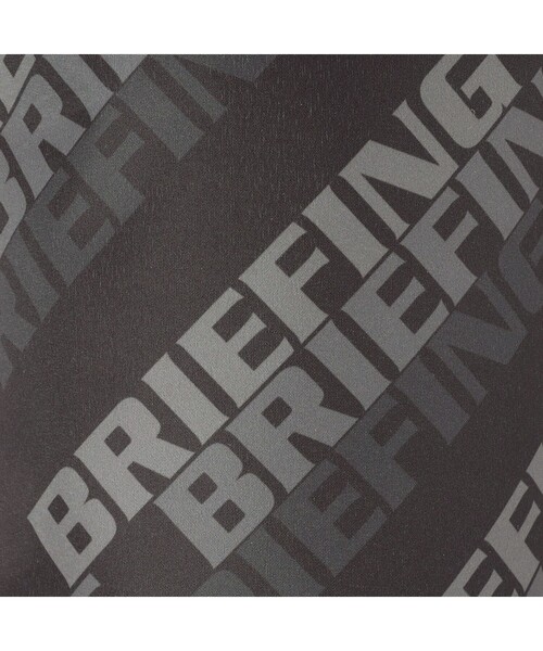 BRIEFING（ブリーフィング） 「BRIEFING GOLF」SHADOW LOGO JQ ICE BAG