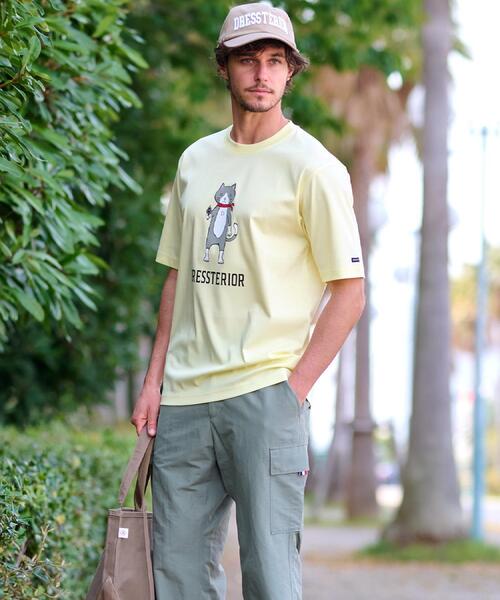 【接触冷感抗菌防臭消臭】アイスクリアコットンキャットTシャツ DRESSTERIOR｜【接触冷感/抗菌防臭/消臭】ICE CLEAR COTTON