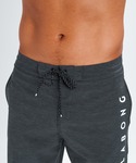 水着 BILLABONG メンズ ALLDAY...の詳細画像3