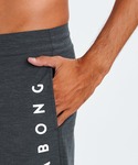 水着 BILLABONG メンズ ALLDAY...の詳細画像4