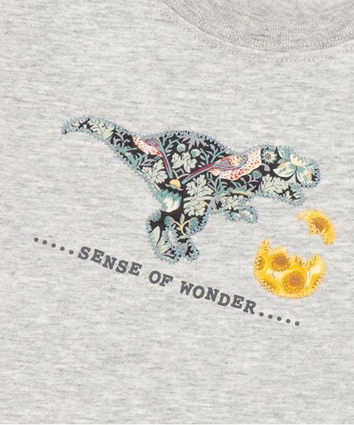 sense of wonder tシャツ リバティ恐竜たまご長袖Tシャツ キッズ 子供