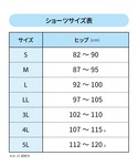 ワコール ショーツ サニタリーショーツ 羽付き...の詳細画像1