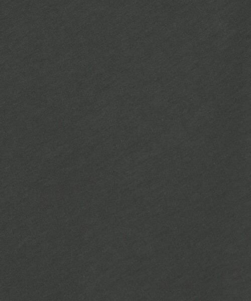 tシャツ ソフトプレーンジャージー ツイストプルオーバー レディースの画像