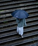 日傘 折りたたみ傘 折り畳み 軽量 晴雨兼用 ...の詳細画像1